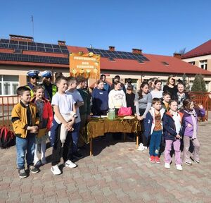 Działania profilaktyczne