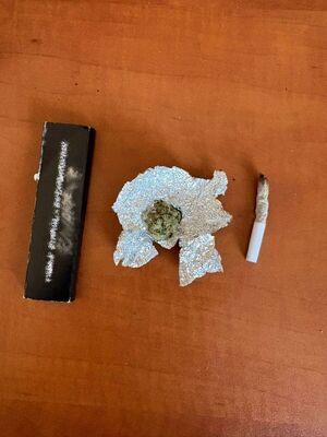 zabezpieczony susz roślinny wstępnie zidentyfikowany jako marihuana